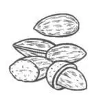Nutty