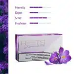 Heets Yugen Dimensions